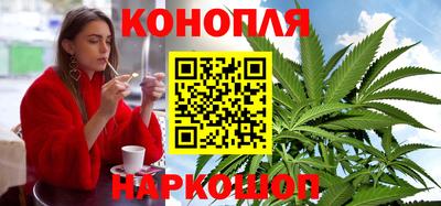 кокс Кингисепп